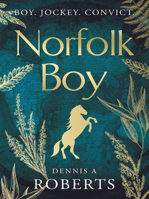 cover image of Norfolk Boy